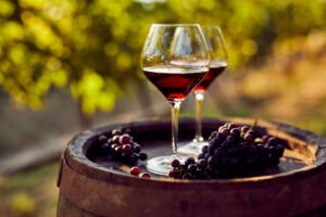 catering cinematografico e vendemmia