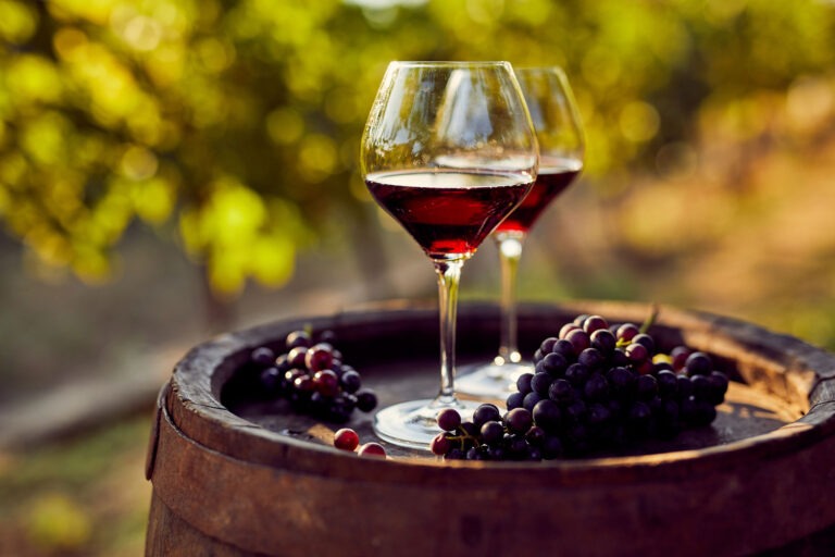 catering cinematografico e vendemmia